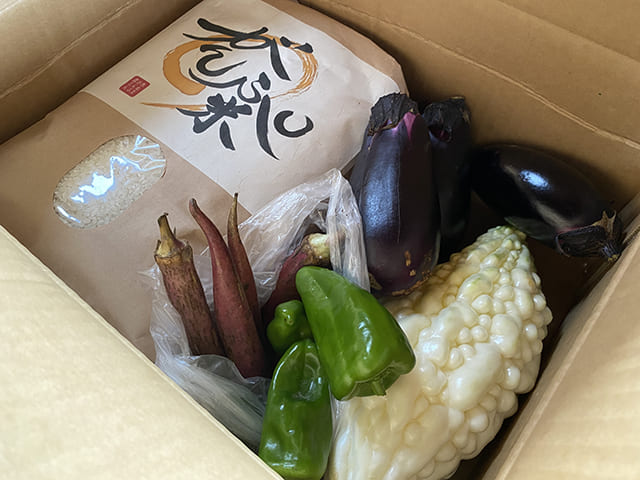 旬の野菜セット